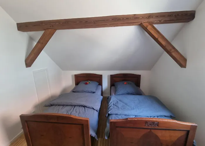 Tatil Evi Alte Schmiede Treffurt